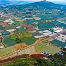 일과리 지석묘 이미지