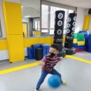 성환태권도 이미지