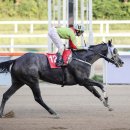 3공단2로-36 이미지