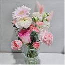도우미꽃식물원 중앙로지하상가점에서의 특별한 경험🌸