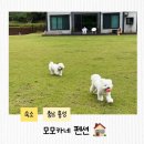 모모카네 펜션 이미지