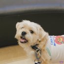 감귤박물관 야외화장실 이미지