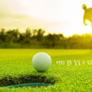 월드스타스크린골프 이미지