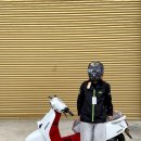 욜로모터스 이미지