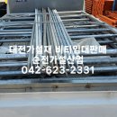 세종비티 이미지