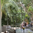 샤프레스토랑 이미지