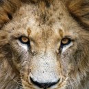 서울대공원 이미지