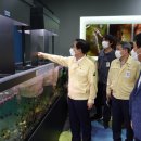 우포 잠자리 나라 이미지