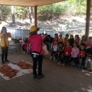 용인자연휴양림3 이미지