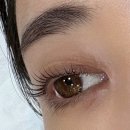 강남-204 | [강남 속눈썹펌 전문샵] ‘Flora lashlift’ 래쉬플로라에서 받은 완벽한 속눈썹펌 후기 💕