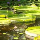 김열회산부인과의원 | 여성에게 잘 생기는 성병 종류와 증상 — 조기 진단이 중요한 이유