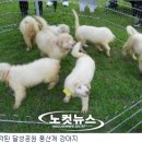 달성공원관리사무소 이미지