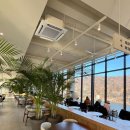 야자수정원 이미지