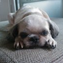 광복택시 이미지