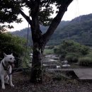 월로펌프진주 - 진주시 상대로 55 | 월로펌프진주