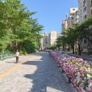 오목로4길 이미지