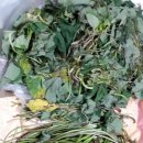 알곡농장 이미지