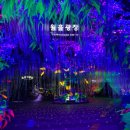 광명동굴 이미지