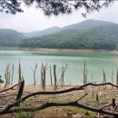 화산(화산1리) 이미지