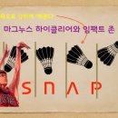 하이클리어 - 평택시 평택4로 43 | 하이클리어