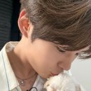 내강아지 이미지