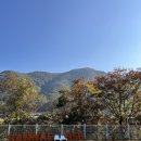 산내956 이미지