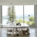 어진로 | 용인 대형 카페 이동저수지 뷰가 환상적인 베이커리 카페 '그린웨일' 내돈내산 후기