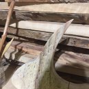 봉동천 | 주말일상 목공방구경하기, 나무도마 그리고 + 손님후기