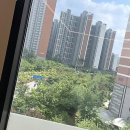 도심 - 공간 | 도심 속에서 만난 편안한 움직임 공간 후기