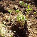 자연속에 영농조합법인 이미지