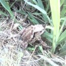 지용농장 이미지