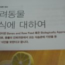 애니팜약국 이미지