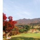 마이다스밸리 청평 골프 클럽 이미지