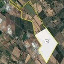 정권농장 이미지