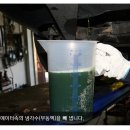 정카센타 이미지