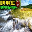 여주-0704 네이버블로그