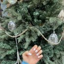 단대로5번길 | [성남/남한산성입구] 시술시간 빠르고 꼼꼼한 단대동 네일 맛집 | 숲네일 후기