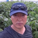 금암1리마을회관 이미지