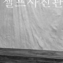 스틸살롱 이미지