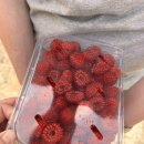 새터농장 이미지