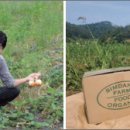 태안양계장 이미지