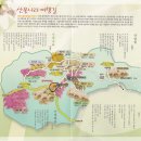 금산화원