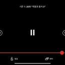 진도개 사랑 이미지