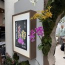 화원5일시장 | 국립세종수목원 난초축제 내돈내산 관람후기 - 비추