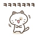 핑크젤리캐터리 이미지