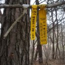 곡성-204 이미지