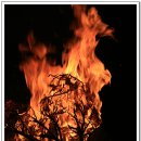 일월주유소 이미지