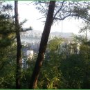 흑석산책로 이미지