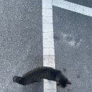 사동리양평해장국 | 8월 3일 목요일 🌄