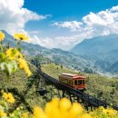 하나로 카 월드 이미지